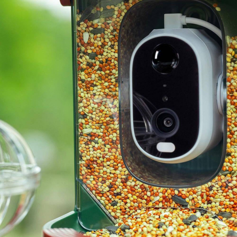 Advanced Solar-Powered Hanging Bird Feeder with Integrated Camera and AI Recognition for Enhanced Night Vision