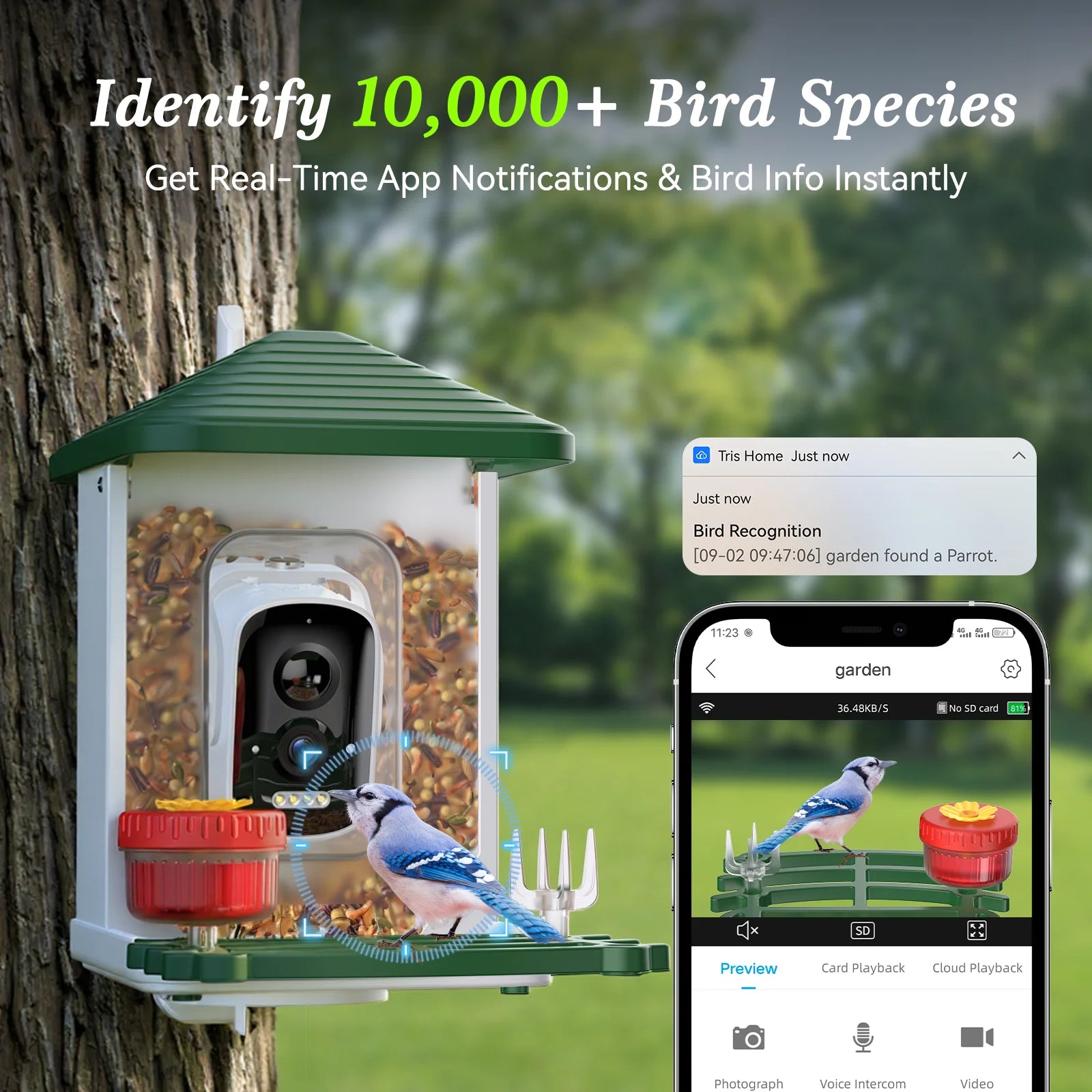 Smart Bird Feeder with Camera, 5MP HD, AI Bird Recognition, Solar Powered Wifi Outdoor Squirrel Proof Feeder, Bird Watching Gift for Holidays Christmas Thanksgiving New Year