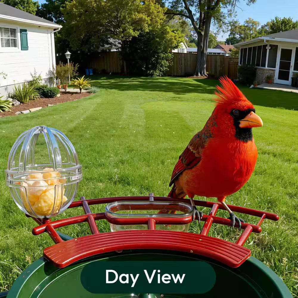 Advanced Solar-Powered Hanging Bird Feeder with Integrated Camera and AI Recognition for Enhanced Night Vision