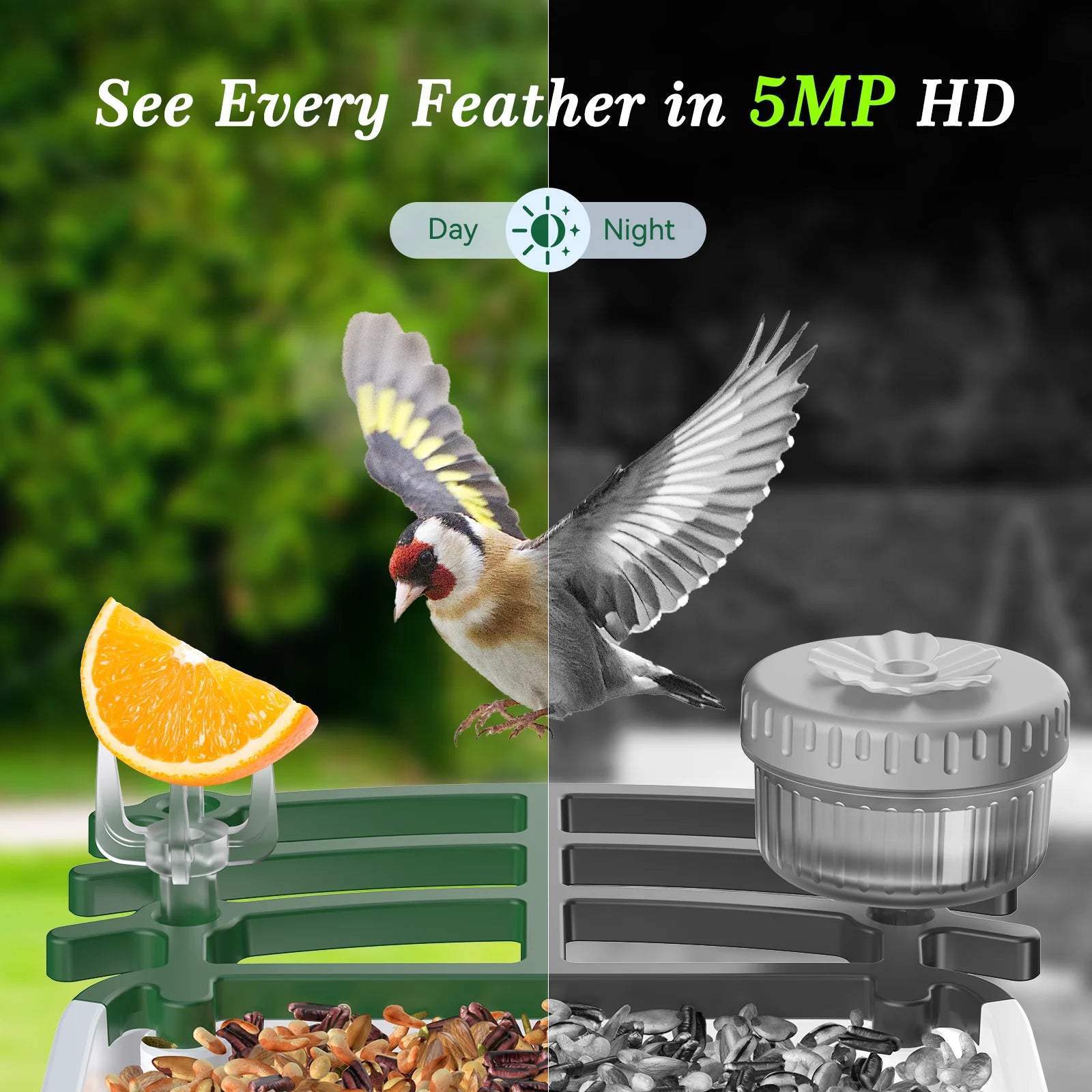 Smart Bird Feeder with Camera, 5MP HD, AI Bird Recognition, Solar Powered Wifi Outdoor Squirrel Proof Feeder, Bird Watching Gift for Holidays Christmas Thanksgiving New Year