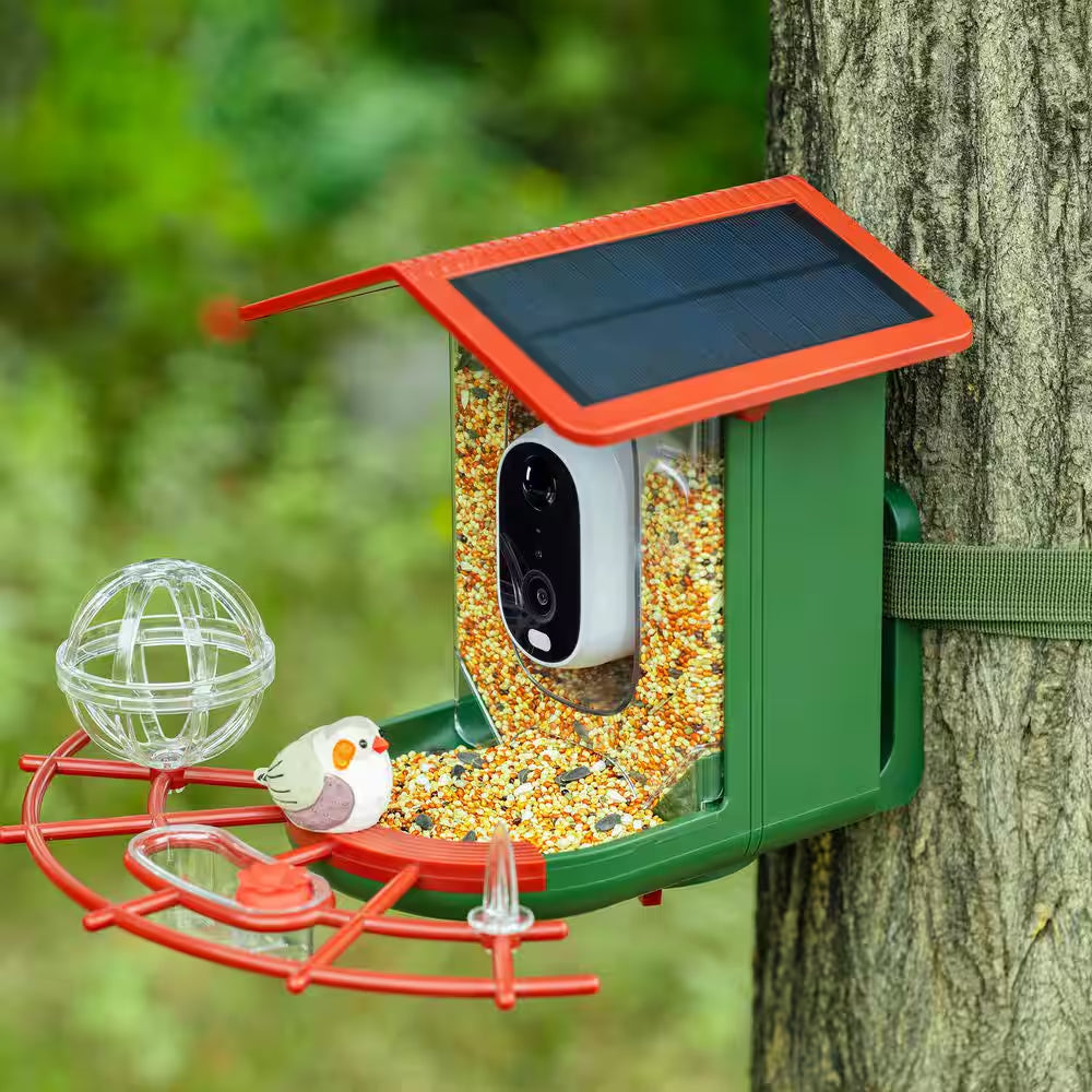 Advanced Solar-Powered Hanging Bird Feeder with Integrated Camera and AI Recognition for Enhanced Night Vision
