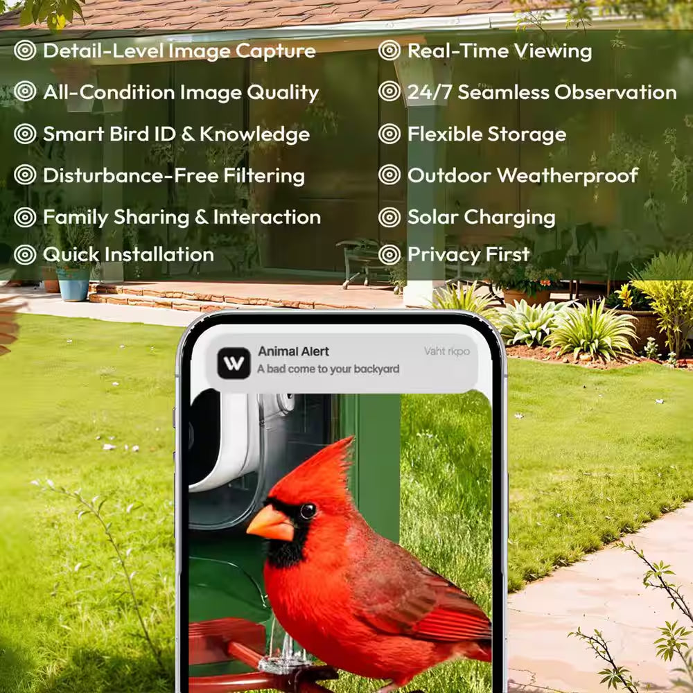 Advanced Solar-Powered Hanging Bird Feeder with Integrated Camera and AI Recognition for Enhanced Night Vision