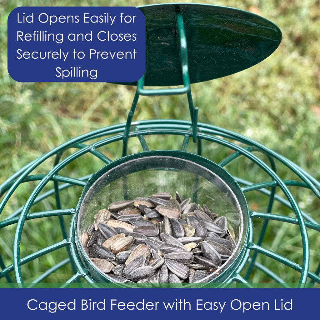 Bird Feeder Orb Caged Green Finch Feeder, 2 Cup Capacity