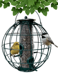 Bird Feeder Orb Caged Green Finch Feeder, 2 Cup Capacity