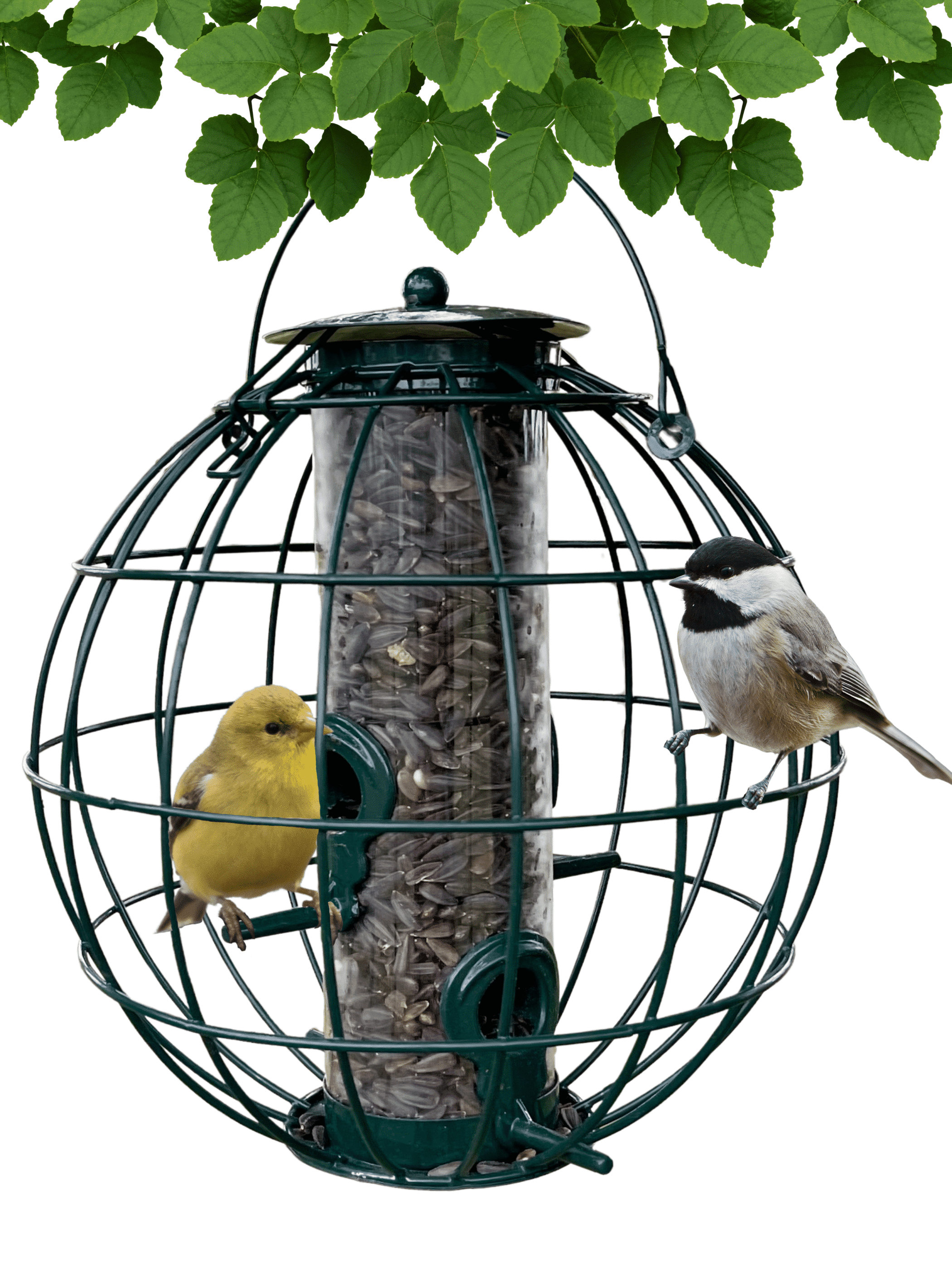Bird Feeder Orb Caged Green Finch Feeder, 2 Cup Capacity