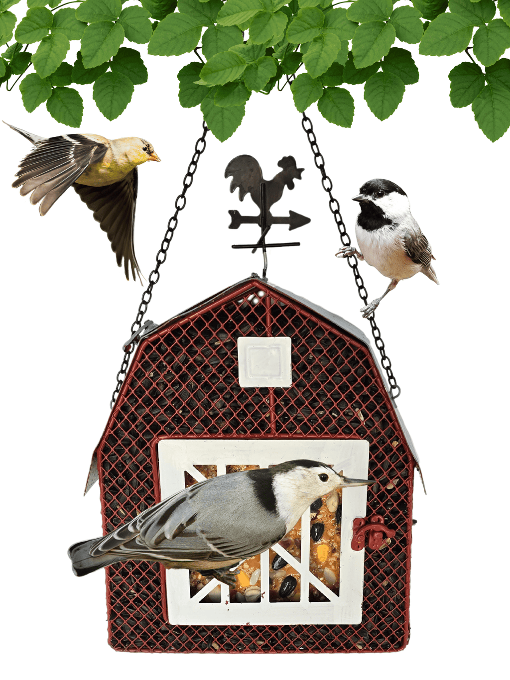 Sunflower Seed and Suet Feeder, Metal Mesh Bird Feeder, Red Barn