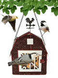 Sunflower Seed and Suet Feeder, Metal Mesh Bird Feeder, Red Barn