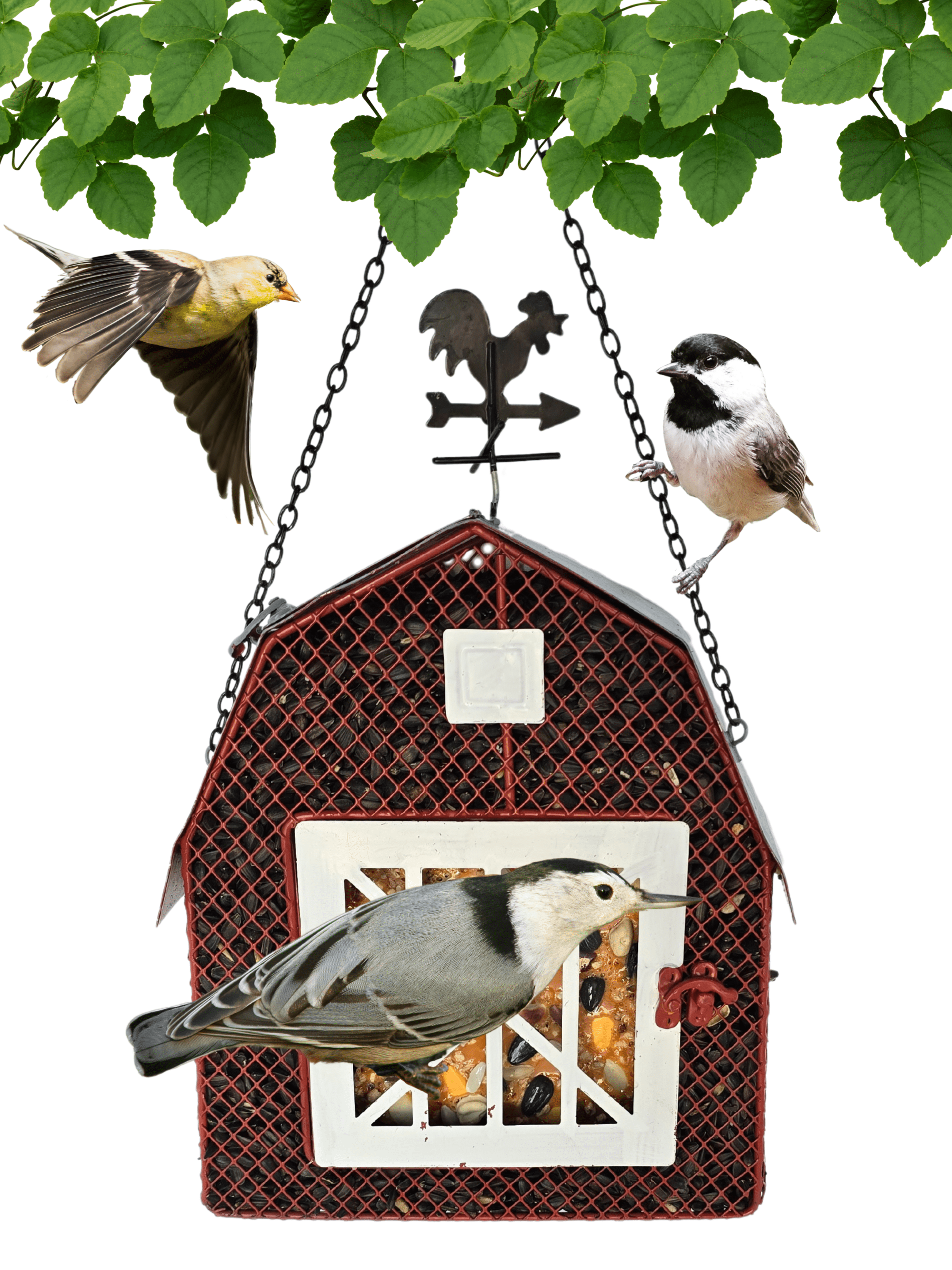 Sunflower Seed and Suet Feeder, Metal Mesh Bird Feeder, Red Barn