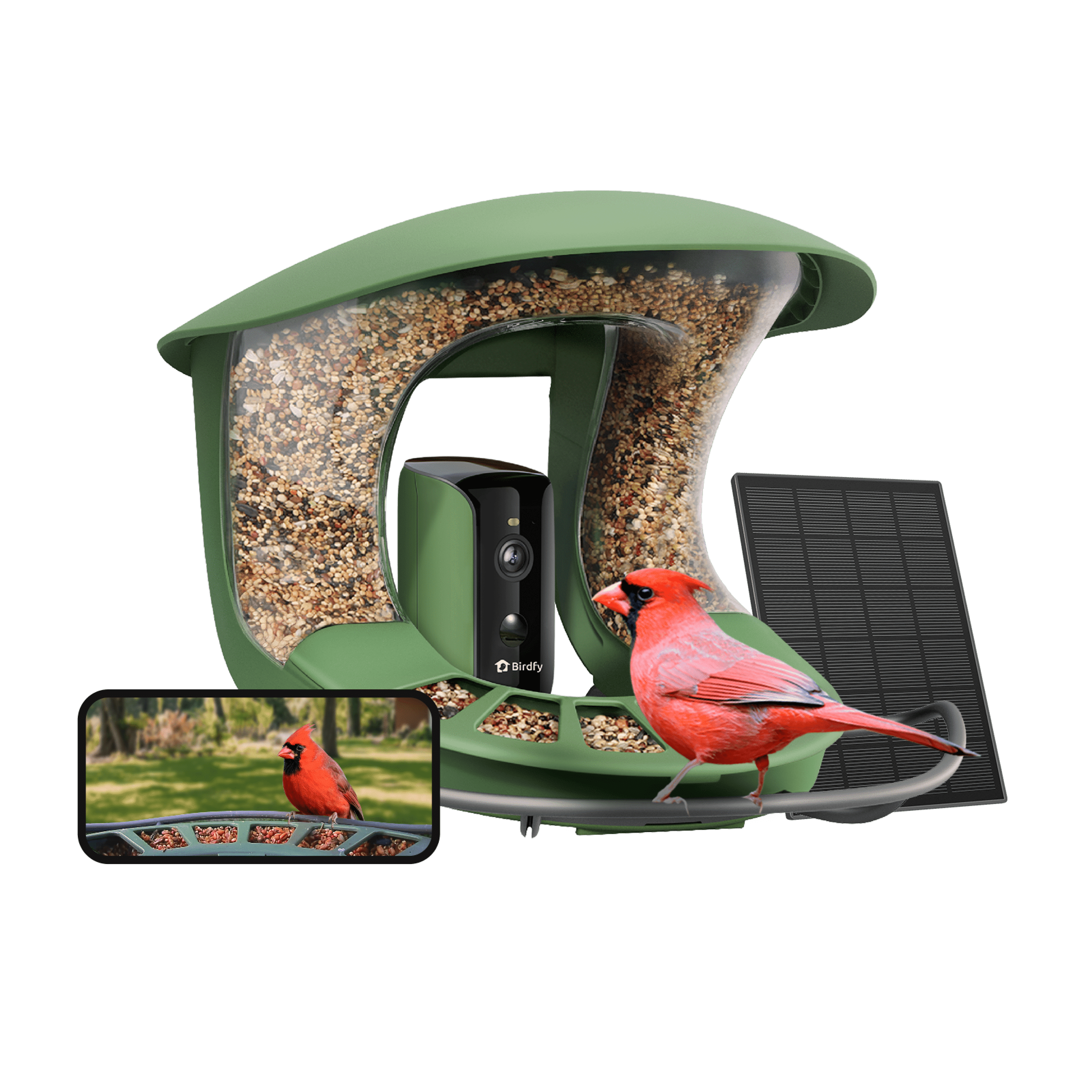 Smart Bird Feeder with Camera, Solar-Powered, Auto-Capture Bird Videos & Motion Detection, AI Identification with 99% Accuracy, Perfect Gift for Bird Lovers