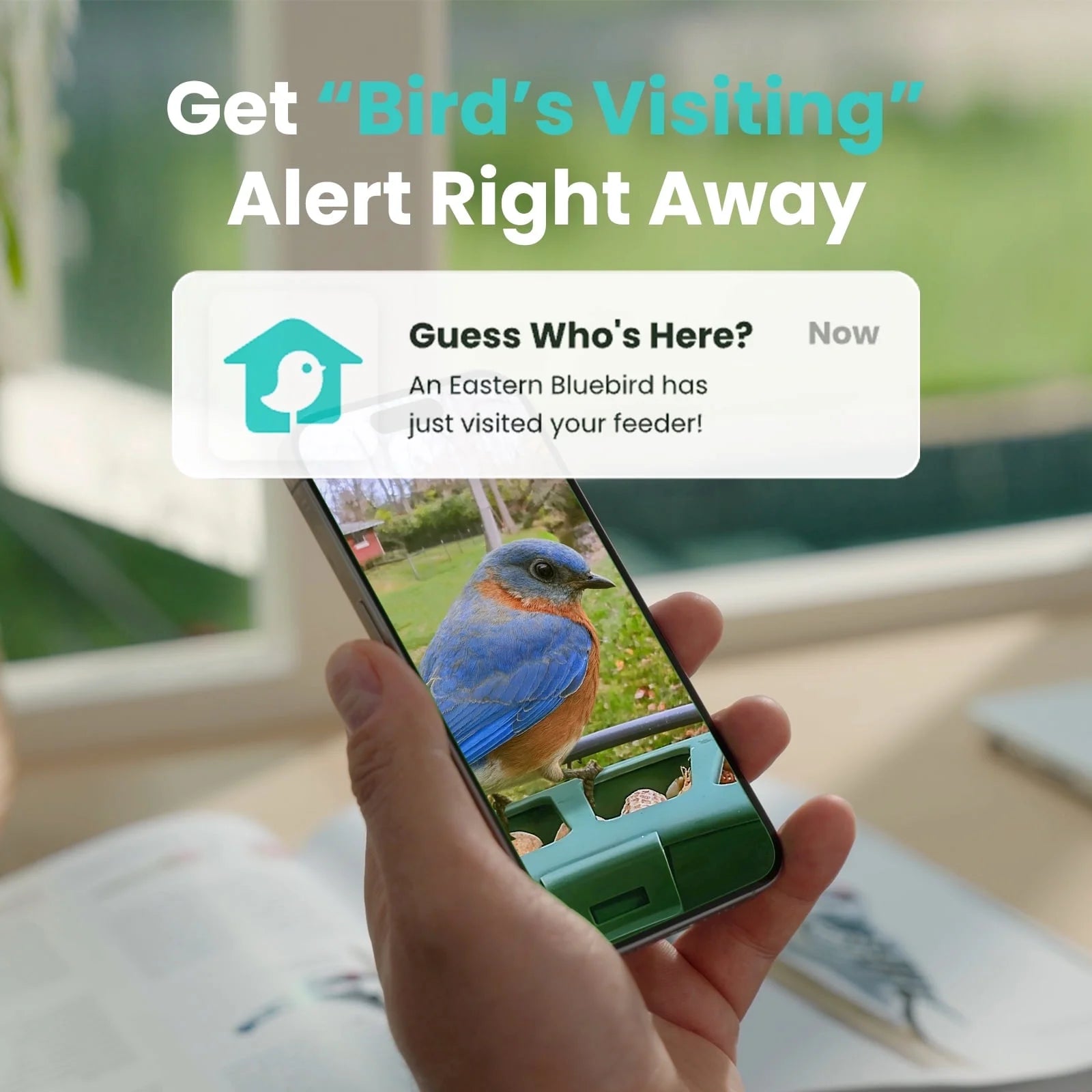 Smart Bird Feeder with Camera, Solar-Powered, Auto-Capture Bird Videos & Motion Detection, AI Identification with 99% Accuracy, Perfect Gift for Bird Lovers