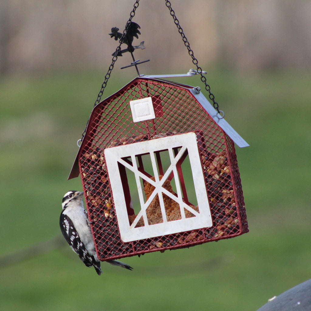 Sunflower Seed and Suet Feeder, Metal Mesh Bird Feeder, Red Barn