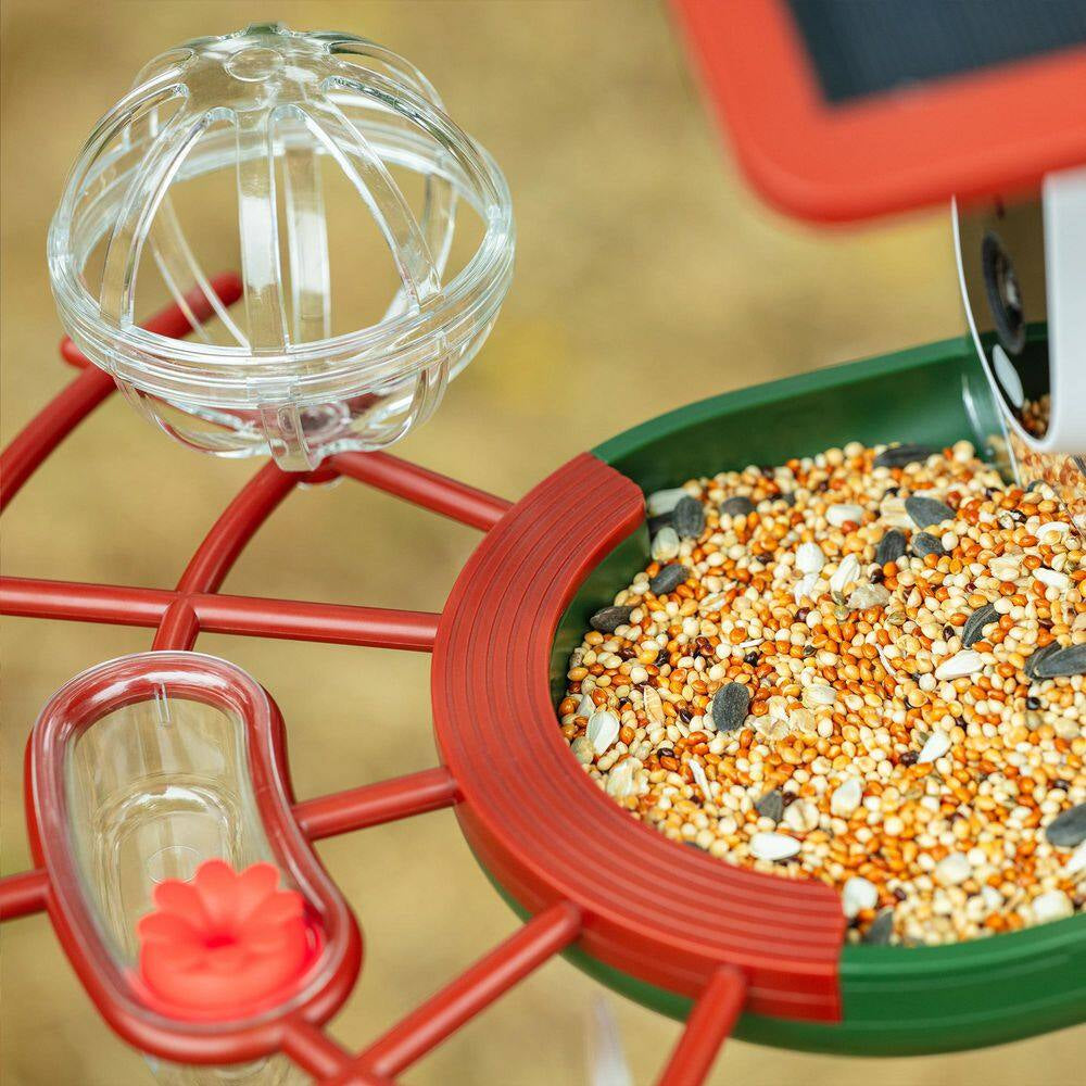 Advanced Solar-Powered Hanging Bird Feeder with Integrated Camera and AI Recognition for Enhanced Night Vision