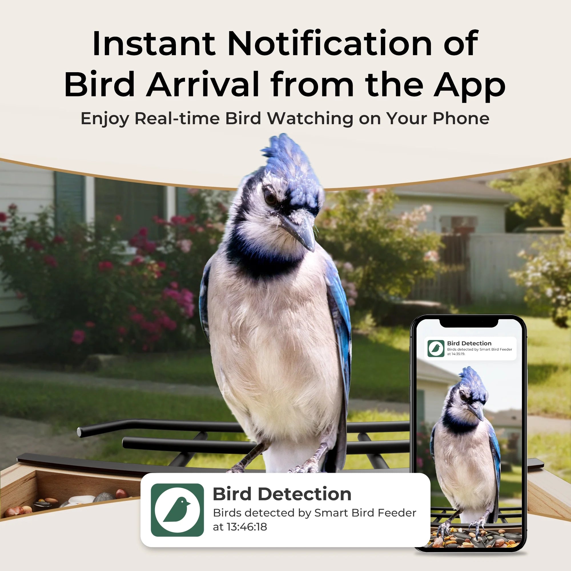 Solar-Powered Smart Bird Feeder with Camera, AI Bird Identification for 10,000+ Species, Weatherproof Eco-Friendly Wooden Design, Perfect Gift for Bird Enthusiasts
